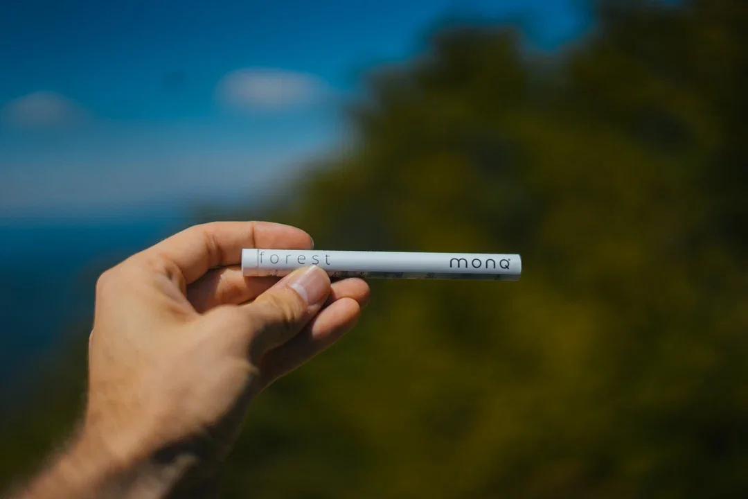 Image secondaire Airstick Forest 1