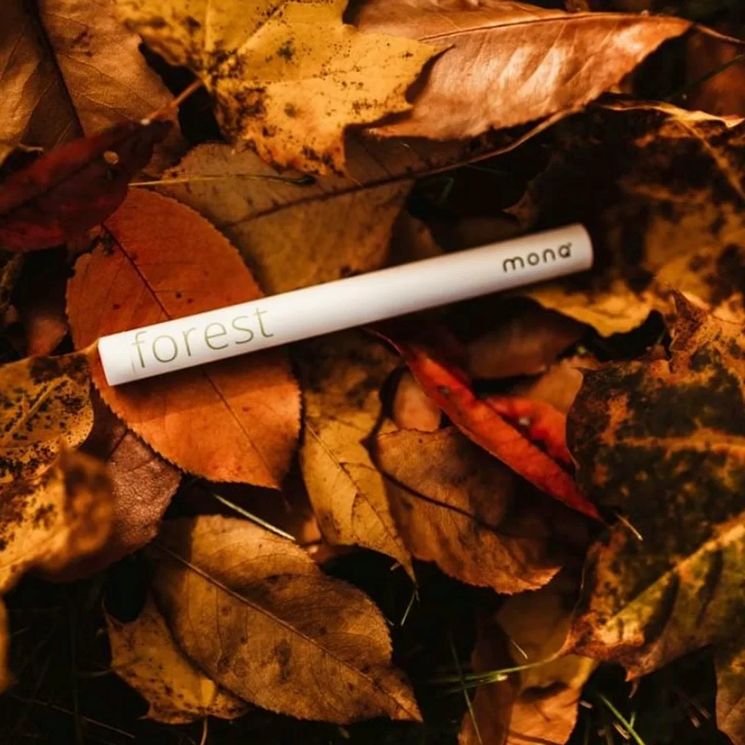 Image client Airstick Forest 0