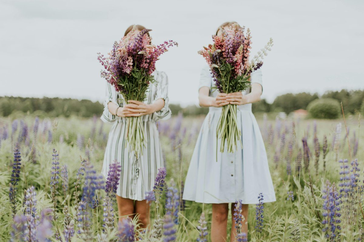 Huile essentielle de lavande vraie : comment bien la diffuser ?